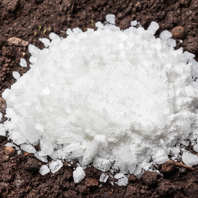 Magnesium